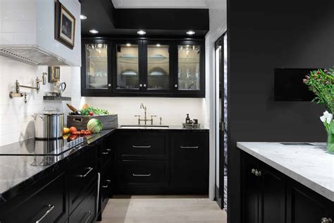 black steel glass kitchen cabinet doors|beautiful kitchens with black cabinets.